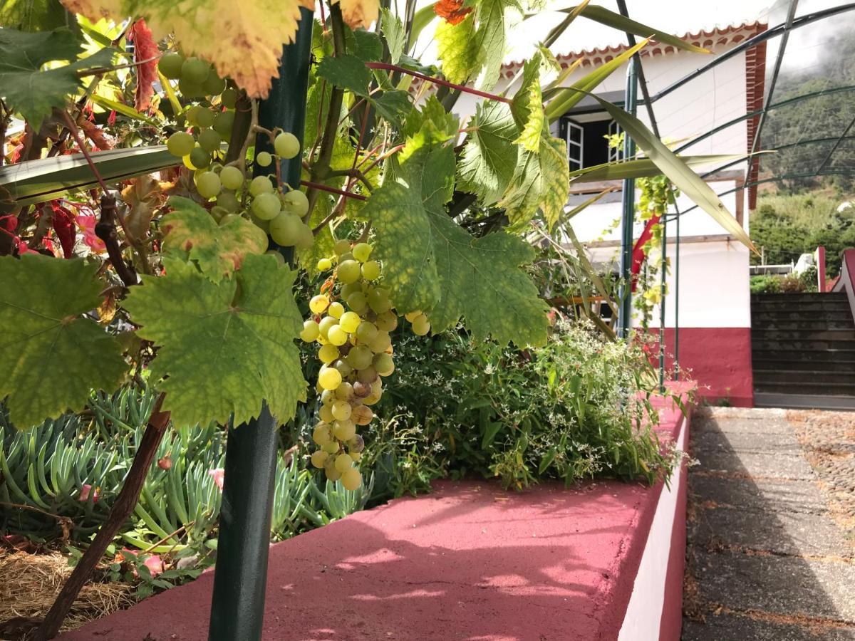Casa Oliveira Esmeraldo - Guest Houses เซาวิเซนเจ ภายนอก รูปภาพ