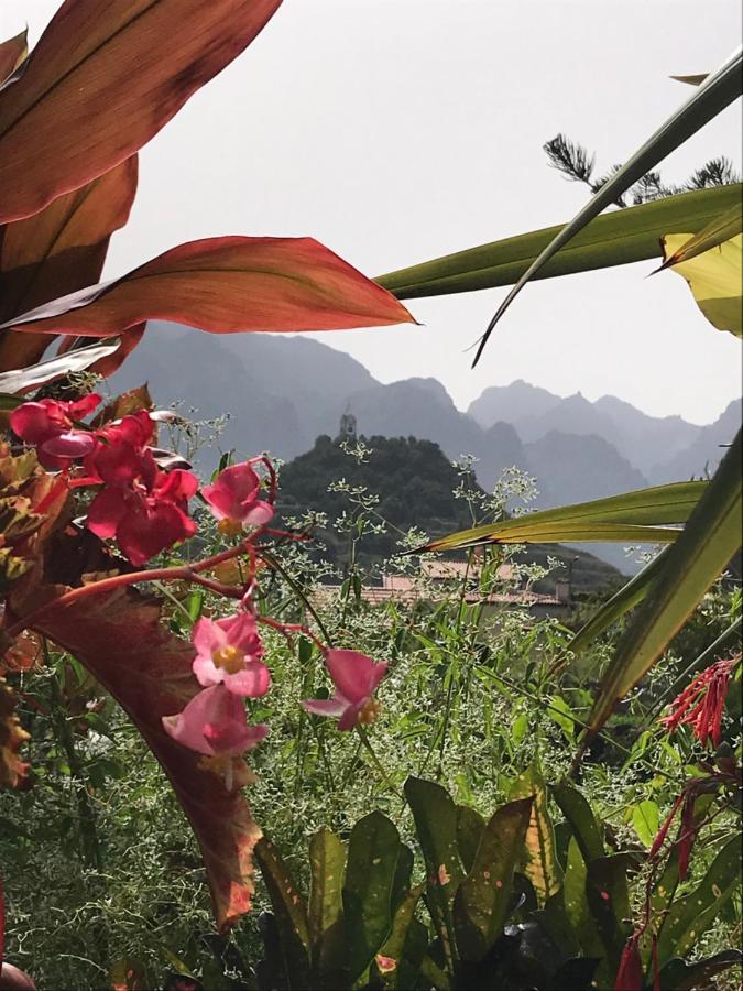 Casa Oliveira Esmeraldo - Guest Houses เซาวิเซนเจ ภายนอก รูปภาพ
