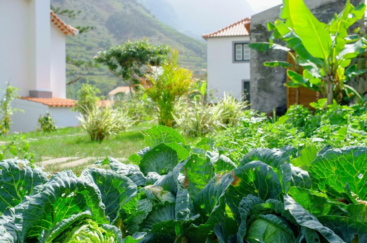 Casa Oliveira Esmeraldo - Guest Houses เซาวิเซนเจ ภายนอก รูปภาพ